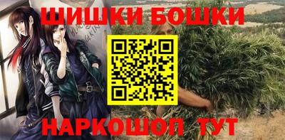 мдпв Пугачёв