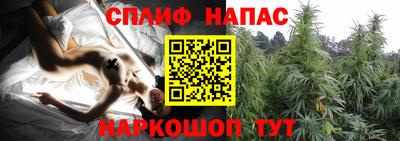 мдпв Пугачёв