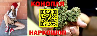индика Рыбинск