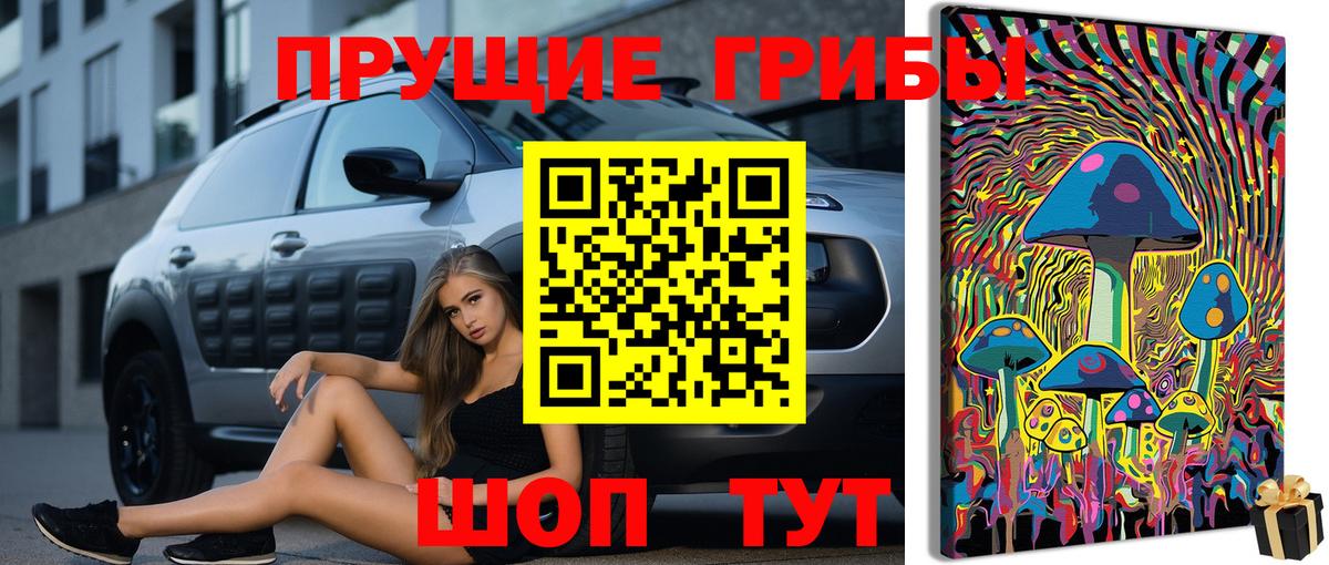 Галлюциногенные грибы мицелий Свободный