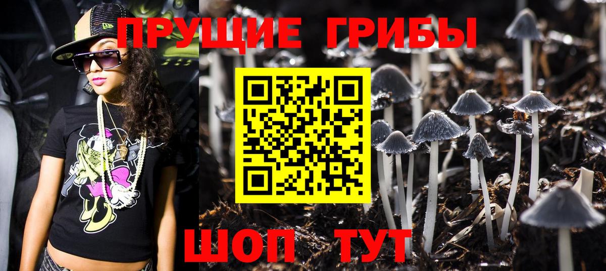 Псилоцибиновые грибы GOLDEN TEACHER  Вход с VPN  Свободный 