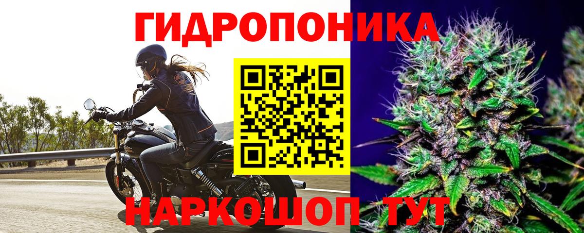 Канабис конопля Свободный